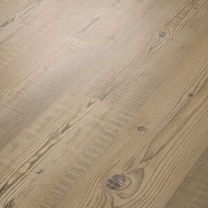 Anvil Plus by Shaw Floors