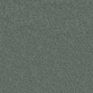 Mission Statement Ii 12 by Shaw Floors