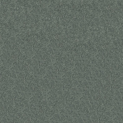 Mission Statement Ii 12 by Shaw Floors