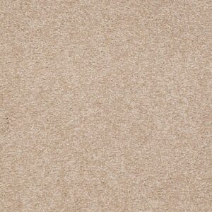 Sandy Hollow I 15' by Shaw Floors