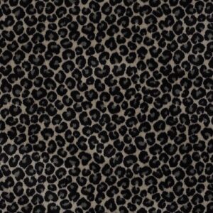 Cheetah by Philadelphia Commercial