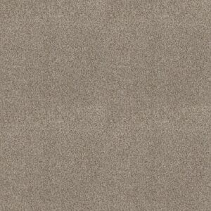 Cabana Life (B) by Shaw Floors