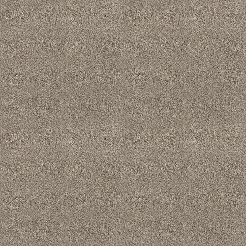 Cabana Life (B) by Shaw Floors