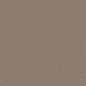Dyersburg Ii 15' by Shaw Floors