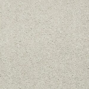 Dyersburg Ii 12' by Shaw Floors