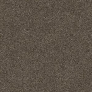 Truspirit I by Shaw Floors
