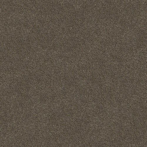 Truspirit I by Shaw Floors