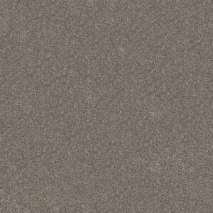 Elevated I by Shaw Floors