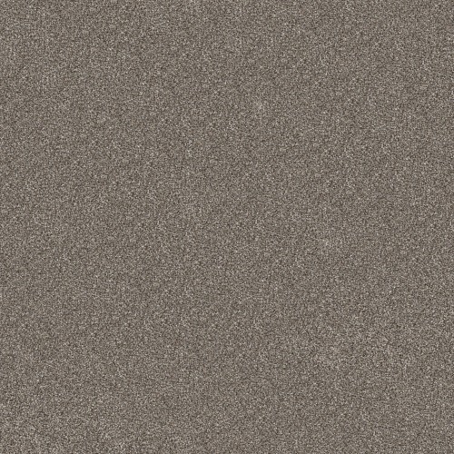 Elevated I by Shaw Floors