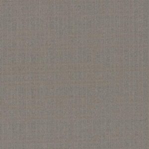 Oasis Broadloom by Pentz