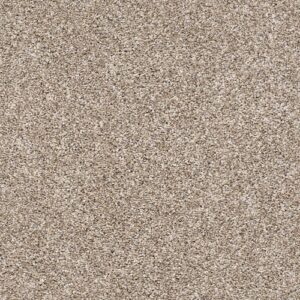 After It Ii by Shaw Floors
