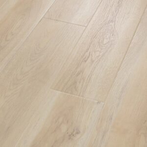 Paragon Hd Plus Nb by Shaw Floors