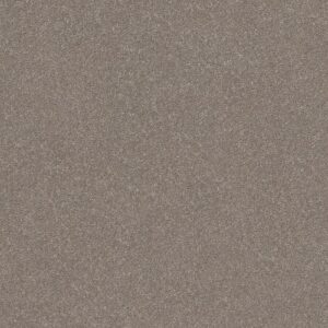 Smooth Talk I by Shaw Floors