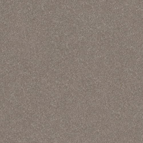 Smooth Talk I by Shaw Floors