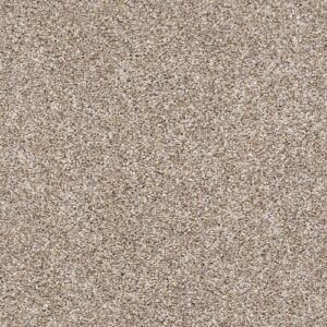After It I by Shaw Floors