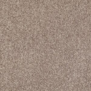 All Star Weekend I 12' by Shaw Floors