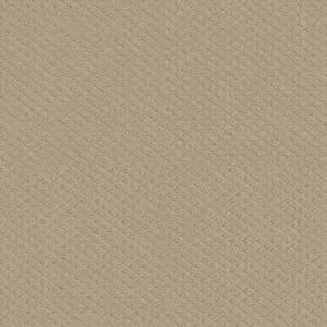 Padova by Shaw Floors
