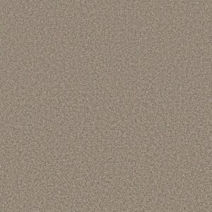 Trusolutions I by Shaw Floors