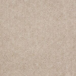 Cascade Ii by Shaw Floors