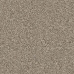 High Ranking B by Shaw Floors