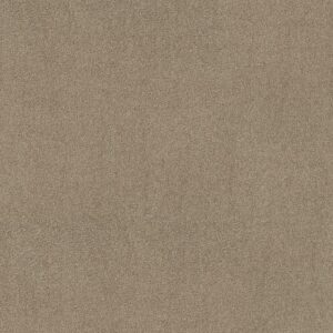 My Choice I by Shaw Floors