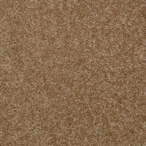 Jet Set by Shaw Floors