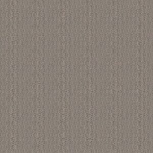 Loop De Loop by Shaw Floors