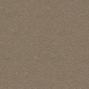 You Know It by Shaw Floors