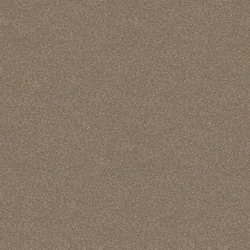 You Know It by Shaw Floors