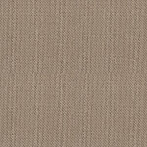 Truly Relaxed Loop by Shaw Floors