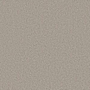 Soft Radiance by Shaw Floors