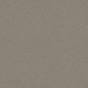 Always Ready I by Shaw Floors