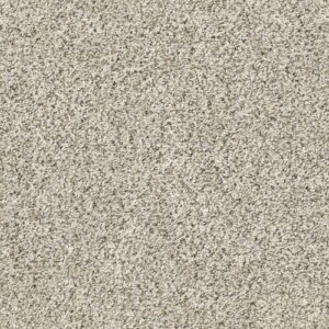 All Set I by Shaw Floors