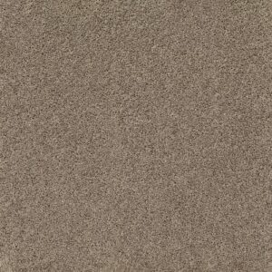 Xv442 by Shaw Floors