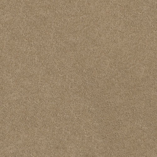 Origins Ii by Shaw Floors