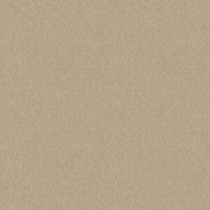 Knockout Ii 12' by Shaw Floors