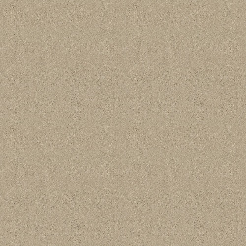 Knockout Ii 12' by Shaw Floors
