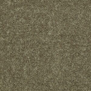 All Star Weekend Iii 12' by Shaw Floors