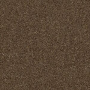 Xv124 by Shaw Floors