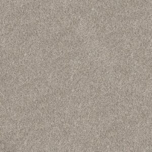 Soft Effervescence by Shaw Floors