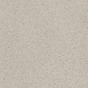 Always Ready Ii by Shaw Floors