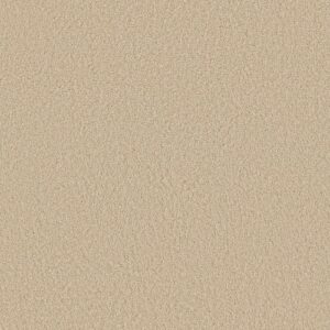 My Choice Iii by Shaw Floors