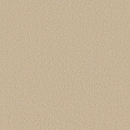 My Choice Iii by Shaw Floors