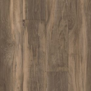 Pantheon Hd Plus by Shaw Floors