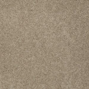 My Choice Ii by Shaw Floors