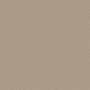Best Yet by Shaw Floors