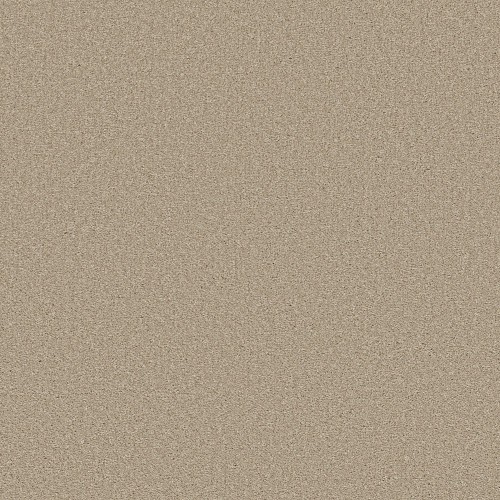 Best Yet by Shaw Floors