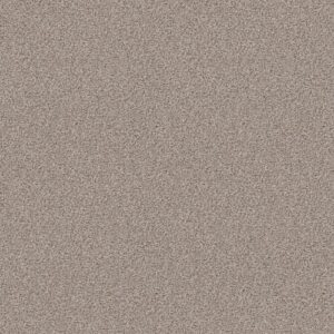 Make It Work by Shaw Floors