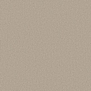 High Ranking T by Shaw Floors