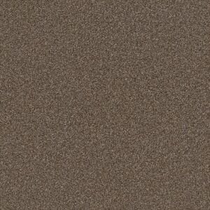 Truspirit Ii by Shaw Floors